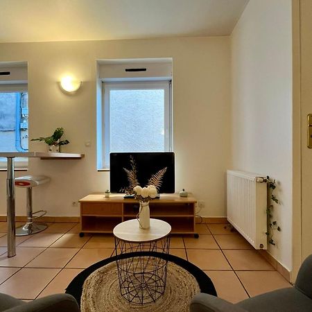 Le Studio Theolier Downtown - Close To Pedestrian Street Tournon-sur-Rhone Buitenkant foto