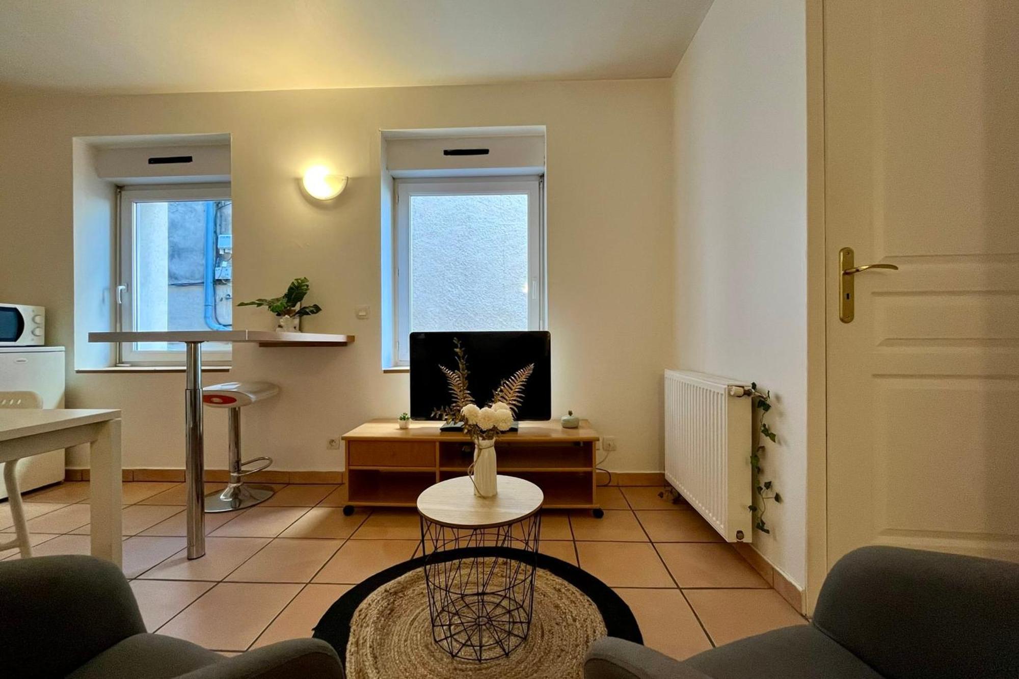 Le Studio Theolier Downtown - Close To Pedestrian Street Tournon-sur-Rhone Buitenkant foto