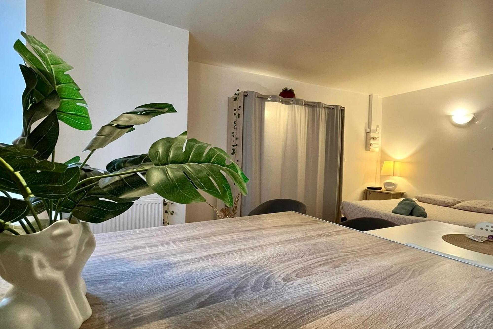 Le Studio Theolier Downtown - Close To Pedestrian Street Tournon-sur-Rhone Buitenkant foto